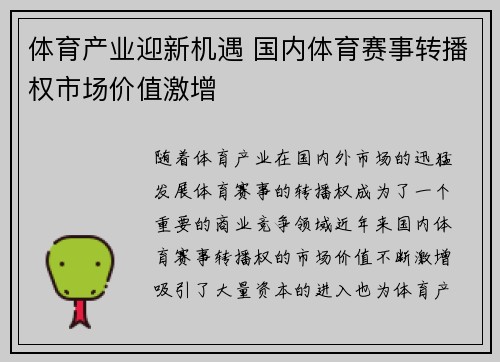 体育产业迎新机遇 国内体育赛事转播权市场价值激增