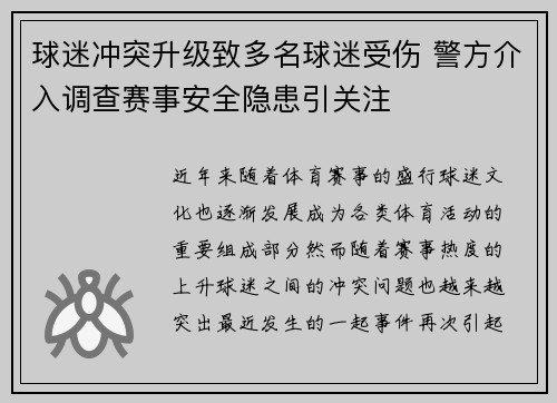 球迷冲突升级致多名球迷受伤 警方介入调查赛事安全隐患引关注